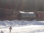 FREIGHT CARS AT WINTHROP JCT.